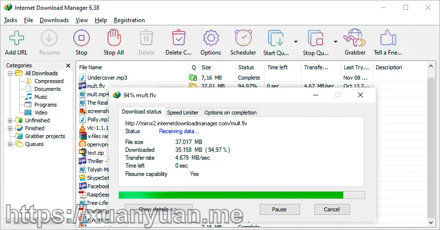 Windows高速下载软件 internet download manager